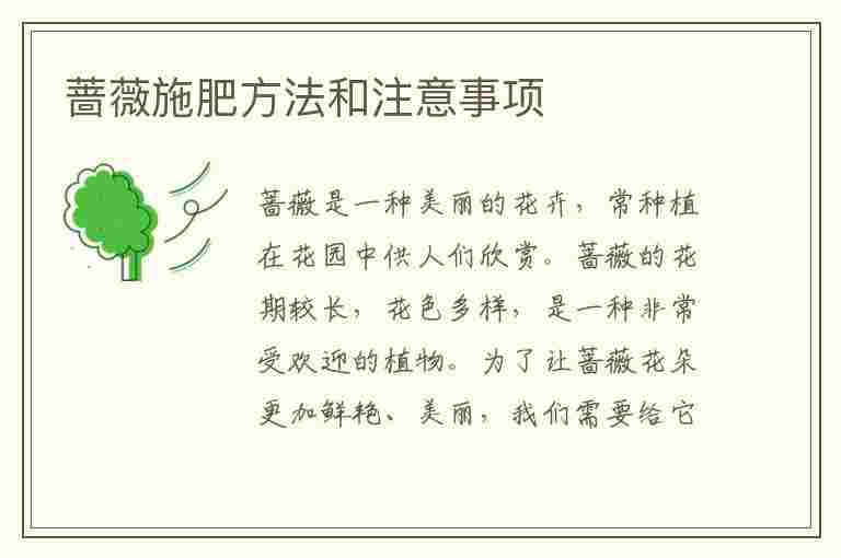 蔷薇施肥方法和注意事项(蔷薇施肥方法和注意事项视频)